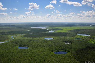 Природа Новосибирской области фото