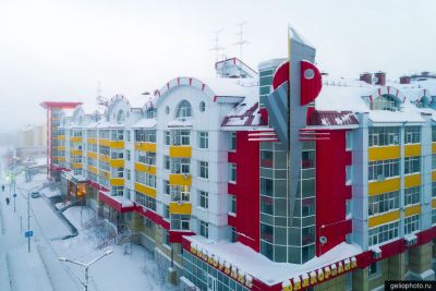 Петушиный дом в Салехарде фото