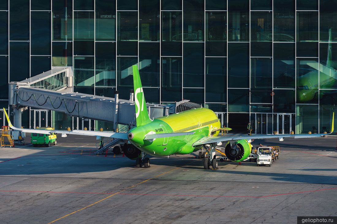 Airbus A320 S7 в аэропорту Новосибирска фото