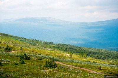 Перевал Дятлова на Северном Урале фото