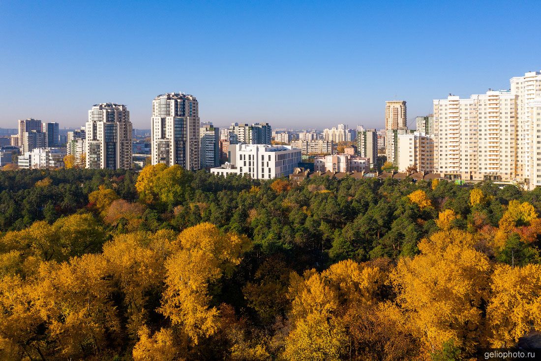 Парк Зелёная роща в Екатеринбурге осенью фото