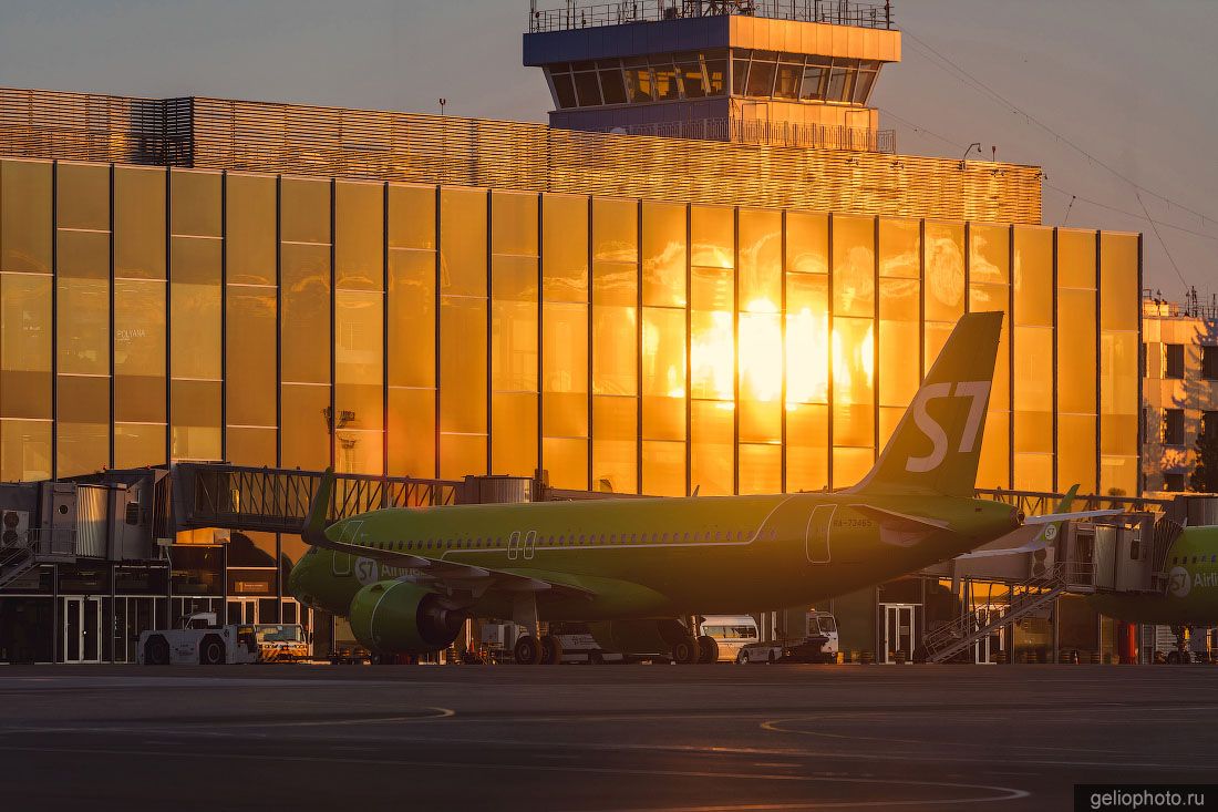 Самолёт Airbus A320 S7 Airlines в аэропорту Толмачёво фото