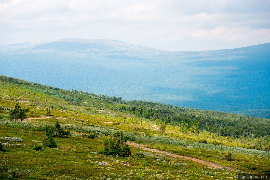Перевал Дятлова на Северном Урале фото