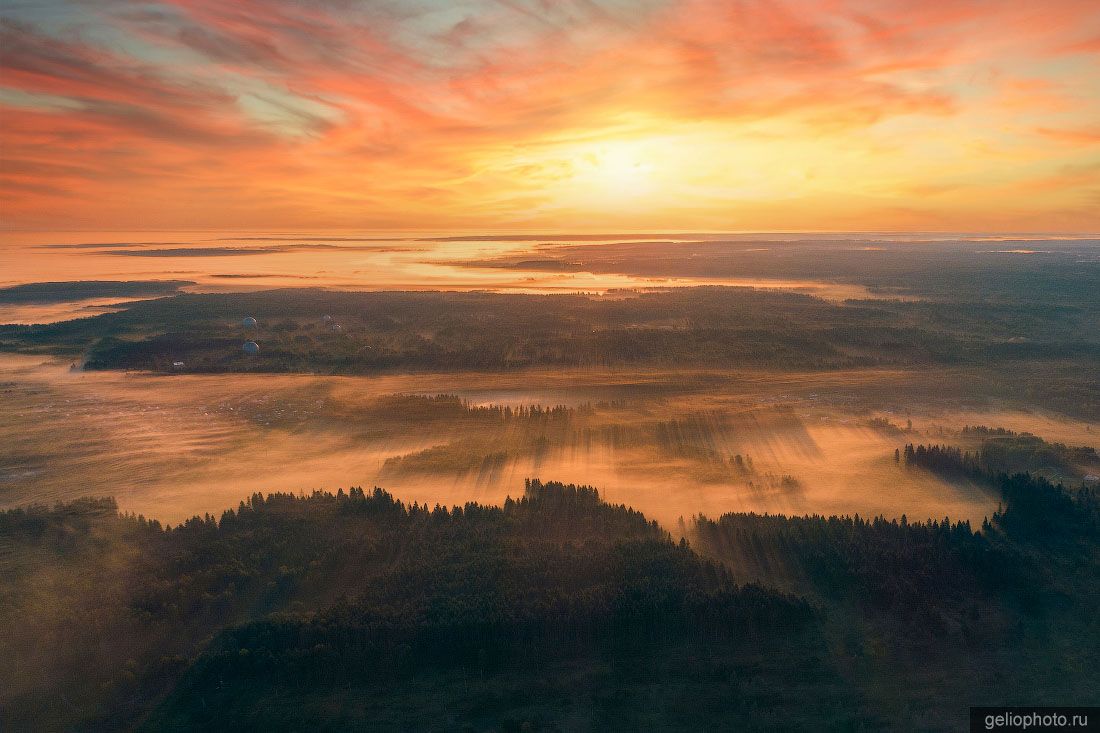 Солнечногорские леса с высоты фото