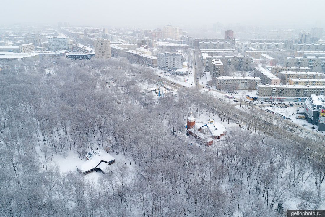 Берёзовая роща в Новосибирске зимой фото