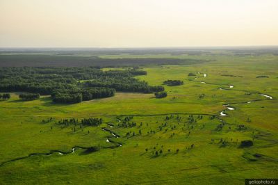 Природа Новосибирской области фото