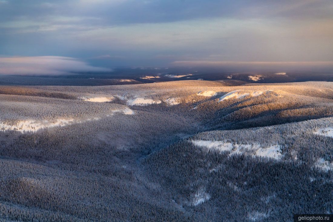 Эвенкийская тайга с высоты фото