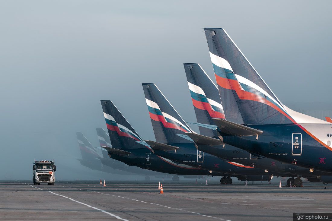 Самолёты Boeing 737-800 Аэрофлота в аэропорту Красноярска фото