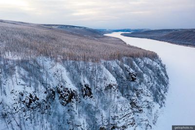 Тайга Эвенкии зимой фото