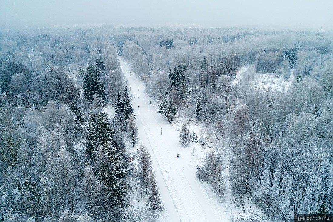 Ботанический сад в Новосибирске фото