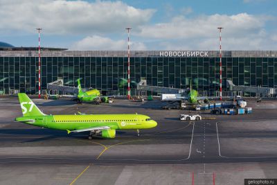 Airbus A320 S7 Airlines в аэропорту Толмачёво фото