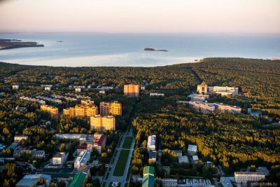 Проспект Академика Коптюга в Новосибирском академгородке фото