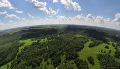 Панорама лесов Новосибирской области фото