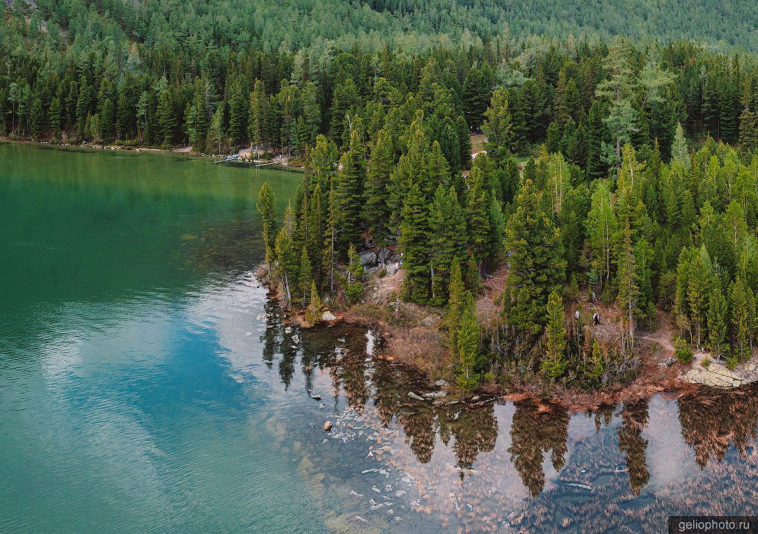Лес у водопада Шумы на Мультинских озёрах фото