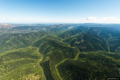 Тайга в Хакасии с высоты фото