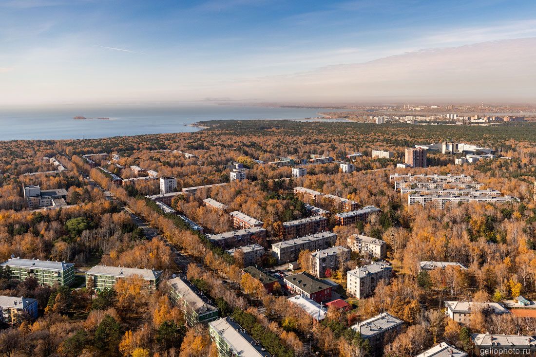 Осенний академгородок в Новосибирске фото