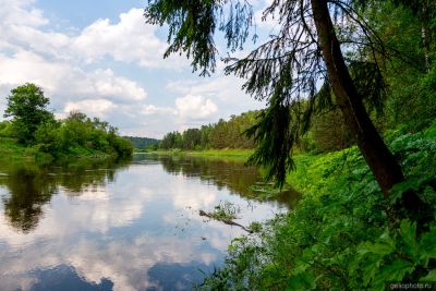 Природный рекреационный комплекс Волковский берег фото
