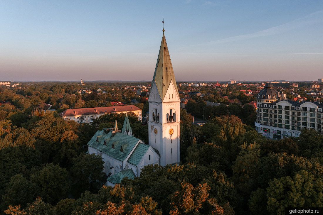 Театр кукол в Калининграде фото