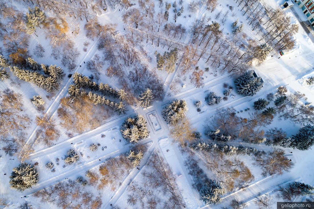 Первомайский сквер в Новосибирске зимой с высоты фото