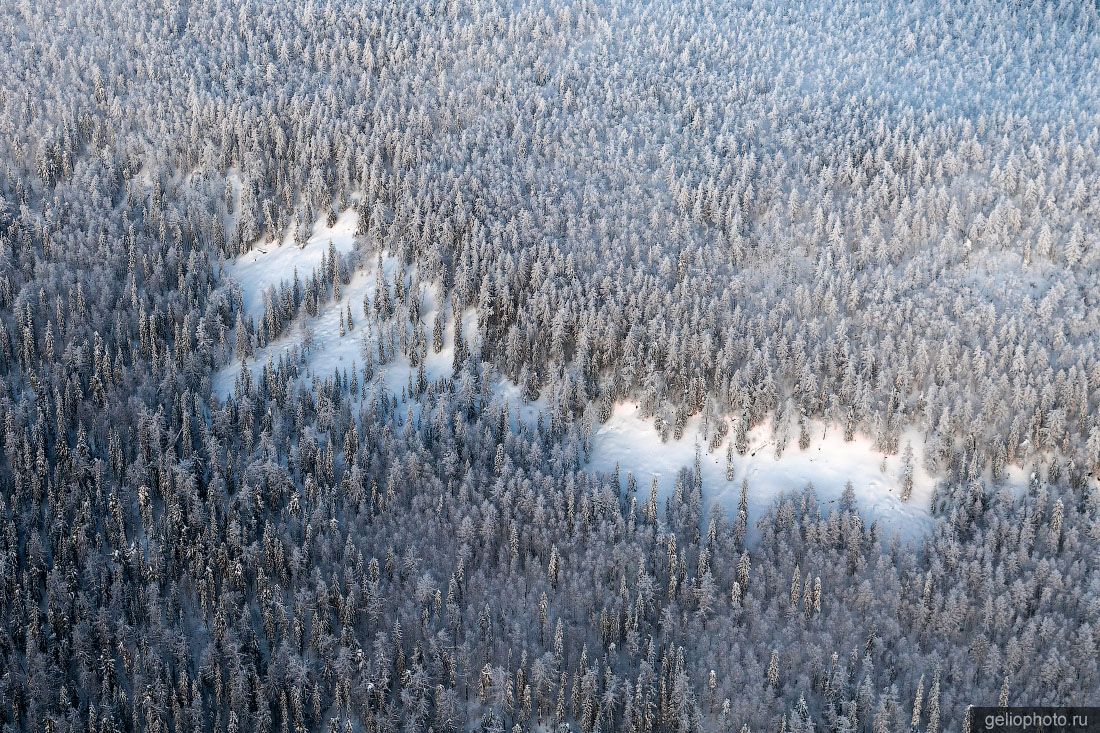 Тайга Эвенкии с высоты фото