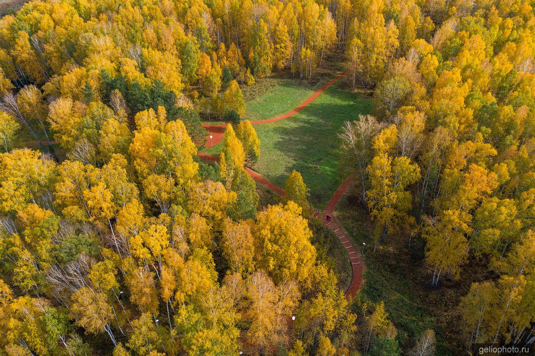 Парк в Кольцово осенью фото
